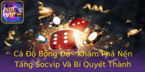 Ca O Bong A Kham Pha Nen Tang Socvip Va Bi Quyet Thanh Cong