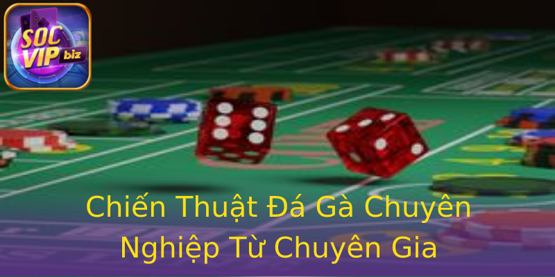 Chiến Thuật Đá Gà Chuyên Nghiệp Từ Chuyên Gia Chiến Thuật Đá Gà Chuyên Nghiệp Từ Chuyên Gia