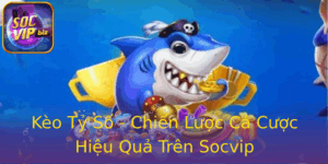 Keo Ty So Chien Luoc Ca Cuoc Hieu Qua Tren Socvip