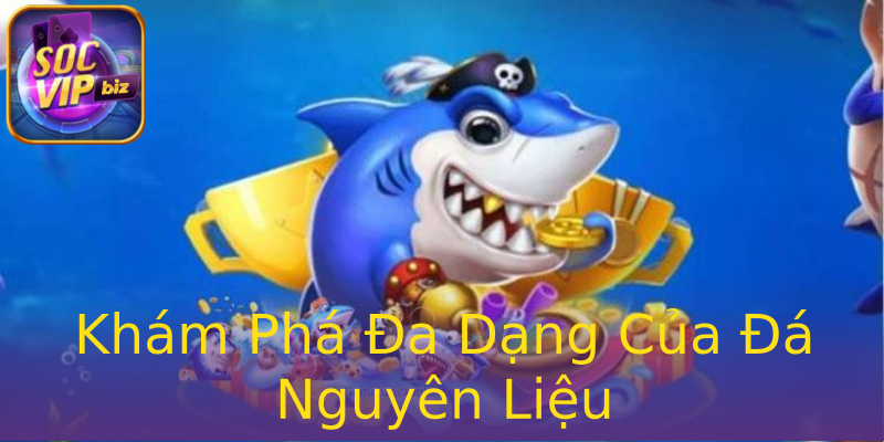 Khám Phá Đa Dạng Của Đá Nguyên Liệu Khám Phá Đa Dạng Của Đá Nguyên Liệu