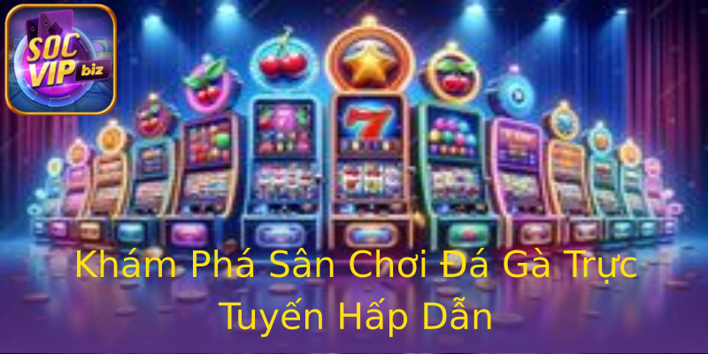 Khám Phá Sân Chơi Đá Gà Trực Tuyến Hấp Dẫn Khám Phá Sân Chơi Đá Gà Trực Tuyến Hấp Dẫn