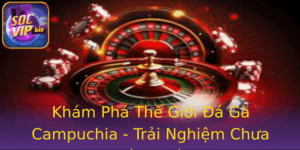 Khám Phá Thế Giới Đá Gà Campuchia - Trải Nghiệm Chưa Từng Có 7 Kham Pha The Gioi A Ga Campuchia Trai Nghiem Chua Tung Co