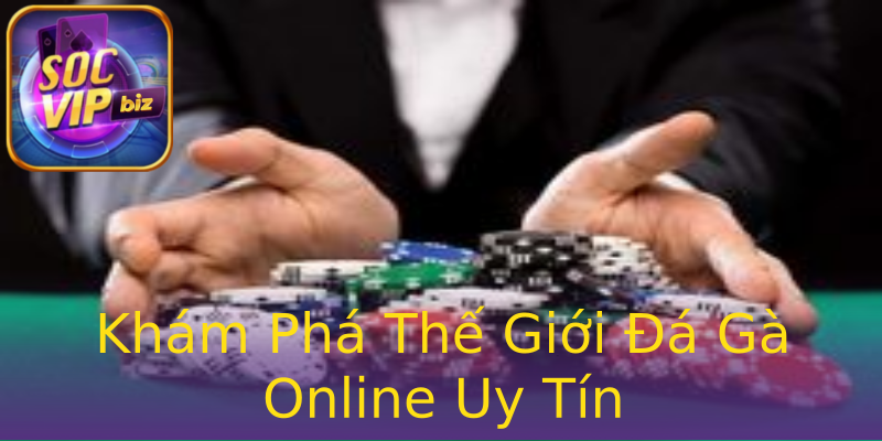 Khám Phá Thế Giới Đá Gà Online Uy Tín Khám Phá Thế Giới Đá Gà Online Uy Tín