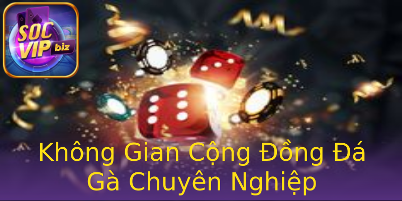 Không Gian Cộng Đồng Đá Gà Chuyên Nghiệp Không Gian Cộng Đồng Đá Gà Chuyên Nghiệp