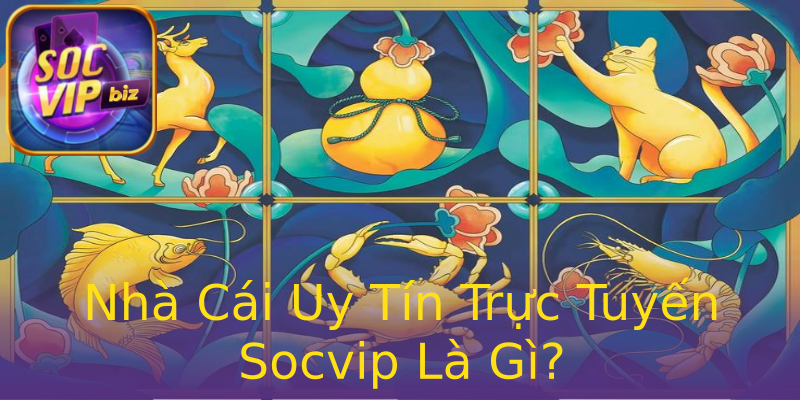 Nhà Cái Uy Tín Trực Tuyến Socvip Là Gì? Nhà Cái Uy Tín Trực Tuyến Socvip Là Gì?