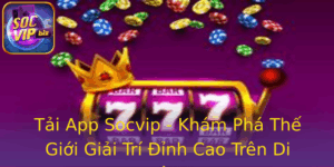 Tai App Socvip Kham Pha The Gioi Giai Tri Inh Cao Tren Di Ong