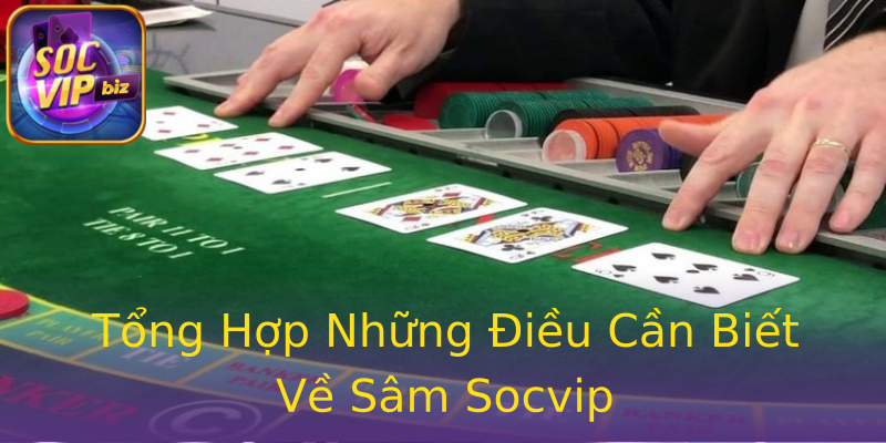 Tổng Hợp Những Điều Cần Biết Về Sâm Socvip Tổng Hợp Những Điều Cần Biết Về Sâm Socvip