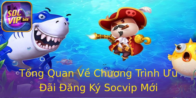 Tổng Quan Về Chương Trình Ưu Đãi Đăng Ký Socvip Mới Tổng Quan Về Chương Trình Ưu Đãi Đăng Ký Socvip Mới