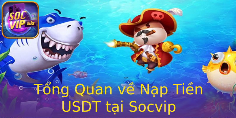 Tổng Quan về Nạp Tiền USDT tại Socvip Tổng Quan về Nạp Tiền USDT tại Socvip