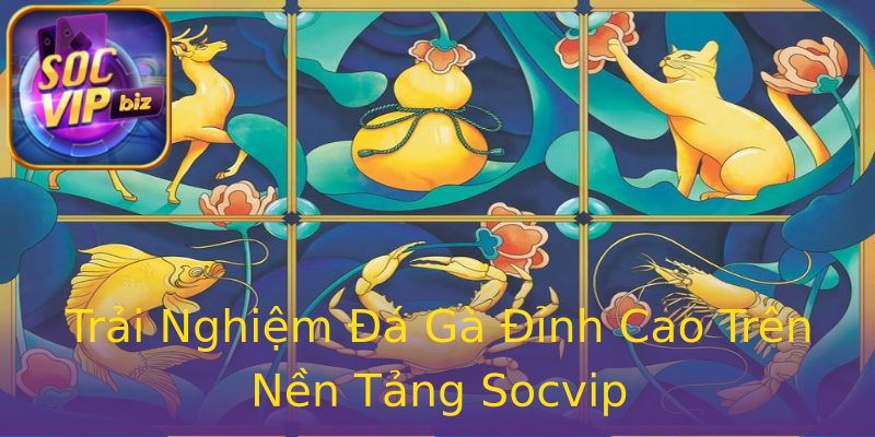Trải Nghiệm Đá Gà Đỉnh Cao Trên Nền Tảng Socvip Trải Nghiệm Đá Gà Đỉnh Cao Trên Nền Tảng Socvip