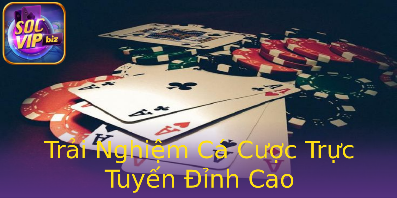 Trải Nghiệm Cá Cược Trực Tuyến Đỉnh Cao Trải Nghiệm Cá Cược Trực Tuyến Đỉnh Cao