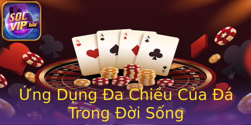 Ứng Dụng Đa Chiều Của Đá Trong Đời Sống Ứng Dụng Đa Chiều Của Đá Trong Đời Sống